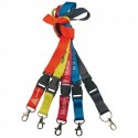 LANYARD