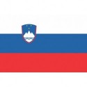 Steag Slovenia