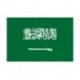 Steag Arabia Saudita