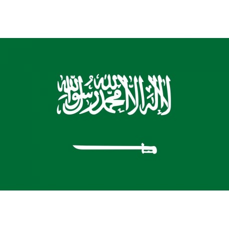 Steag Arabia Saudita