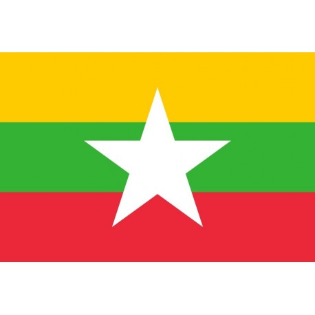 Steag Birmania