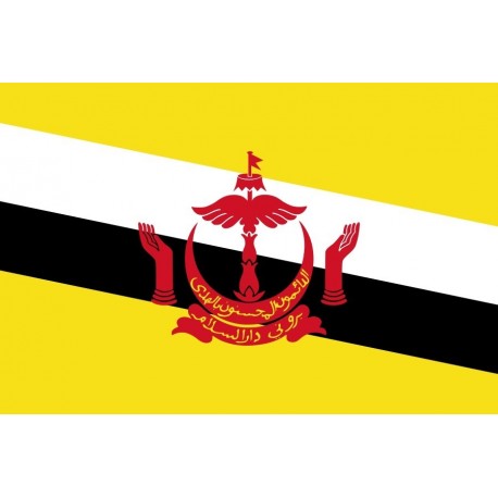 Steag Brunei