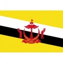 Steag Brunei