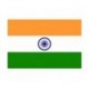 Steag India