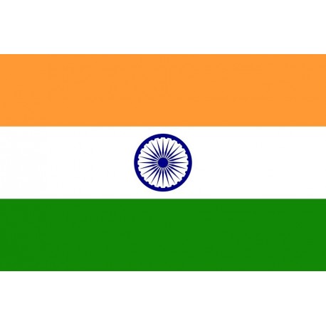 Steag India