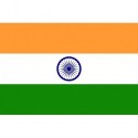 Steag India
