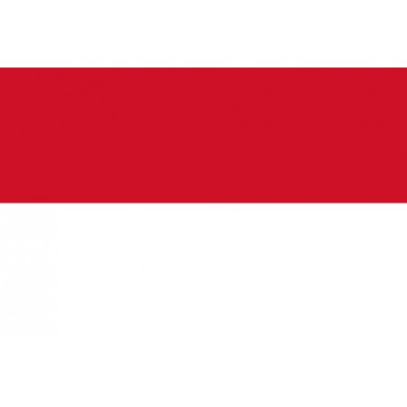 Steag Indonezia