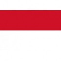 Steag Indonezia