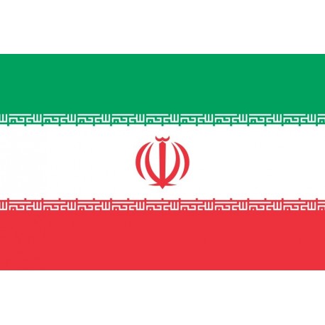 Steag Iran