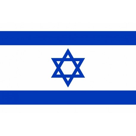 Steag Israel