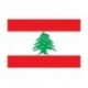 Steag Liban