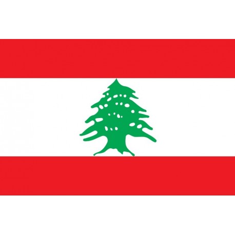 Steag Liban
