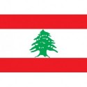 Steag Liban