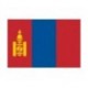 Steag Mongolia