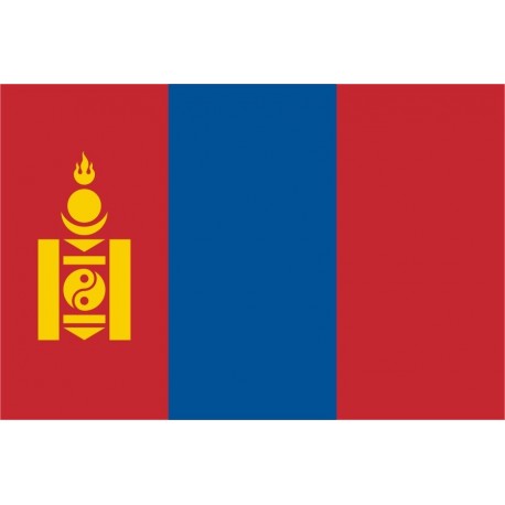 Steag Mongolia