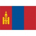 Steag Mongolia