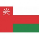 Steag Oman