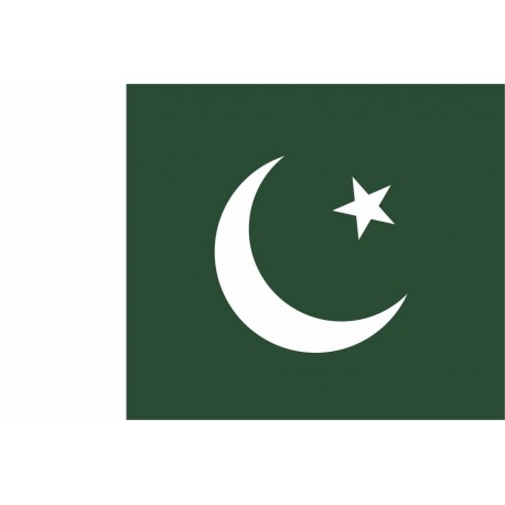 Steag Pakistan