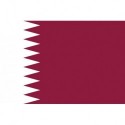 Steag Quatar
