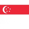 Steag Singapore