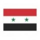 Steag Siria