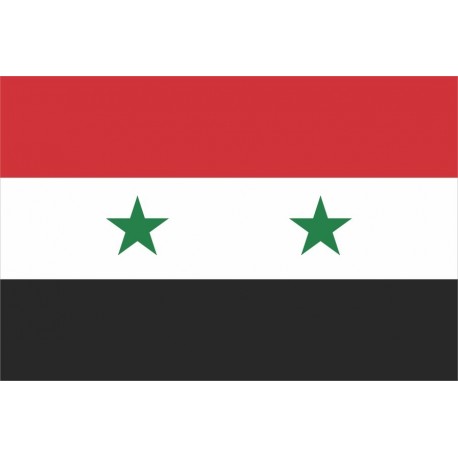 Steag Siria