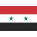 Steag Siria