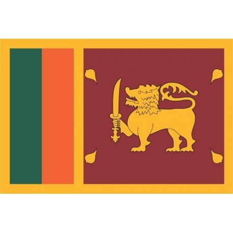 Steag Sri Lanka