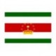 Steag Tadjikistan