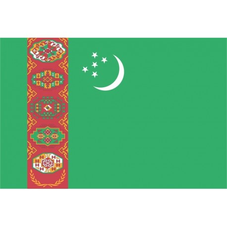 Steag Turkmenistan