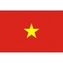 Steag Vietnam