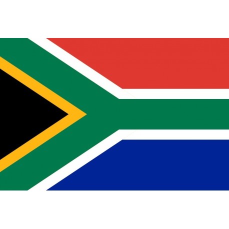 Steag Africa de Sud