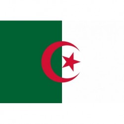 Steag Algeria