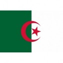 Steag Algeria