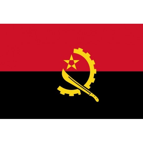 Steag Angola