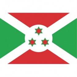 Steag Burundi