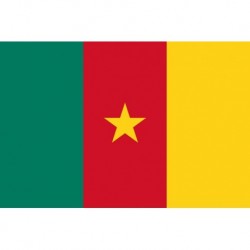 Steag Camerun