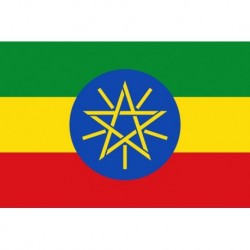 Steag Etiopia