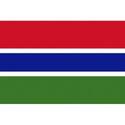 Steag Gambia