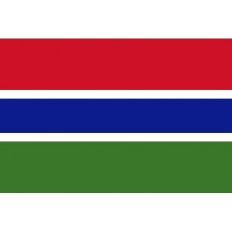 Steag Gambia