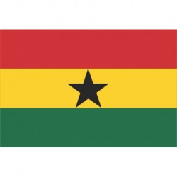 Steag Ghana