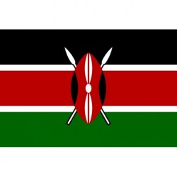 Steag Kenya