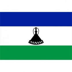 Steag Lesotho