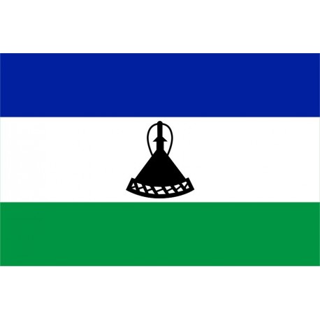 Steag Lesotho