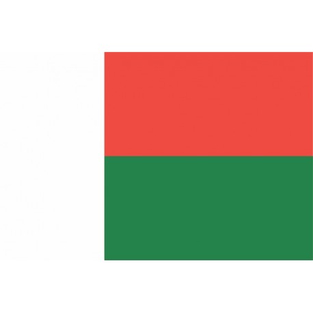 Steag Madagascar
