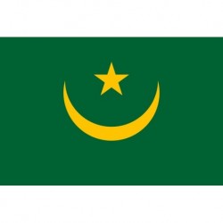 Steag Mauritania