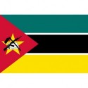 Steag Mozambic