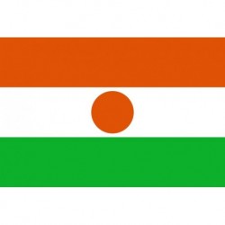 Steag Niger