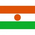 Steag Niger