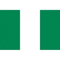 Steag Nigeria